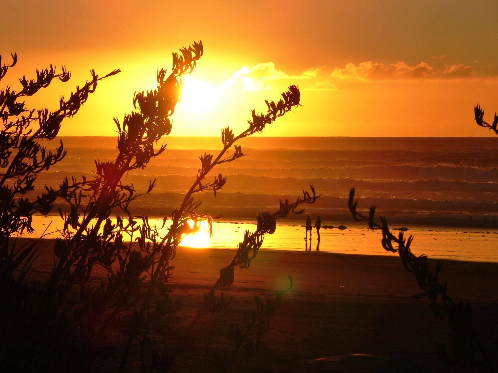 Oakura Beach Holiday Park Buitenkant foto